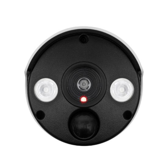 Imagine Camera falsa de exterior cu lampa