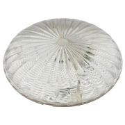 Imagine PLAFONIERA PENTRU NEON CIRCULAR 32W FARA NEON