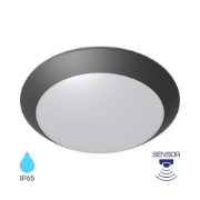 Imagine PLAFONIERA CU SENZOR 1xE27 NAPOLI-PC D:270mm IP65 GRI