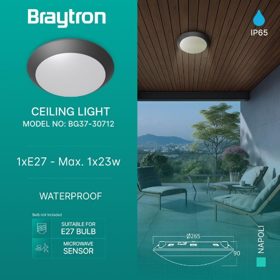 Imagine PLAFONIERA CU SENZOR 1xE27 NAPOLI-PC D:270mm IP65 GRI