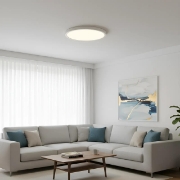 Imagine PLAFONIERA LED 25W 5in1 2100lm IP40 JADE-G2-SLR ALB RND